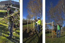 Neue Bume fr Brckrachdorf - Schatten und Lebensraum am Spielplatz