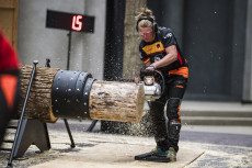 Oberhonnefeld-Gierend: Sportholzfllen live bei den Westerwlder Holztagen