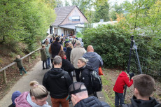 Neuer Frderverein soll Zukunft des Wildparks Westerwald sichern