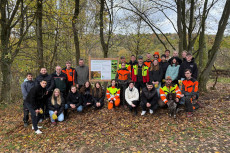Bume fr die Zukunft: Westerwald Bank und Azubis pflanzen 1.400 Setzlinge