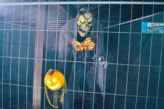 Halloween-Grusel-Party in Borod war wieder der absolute Hammer
