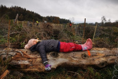 Wller Helfen e. V.: Gemeinsam fr ein grneres Morgen im Westerwald!