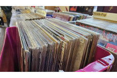 Schallplattenb�rse auf der Wiedinsel feiert 10. Jubil�um