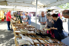 Dreschhallenmarkt in Driedorf-M�nchhausen: Ein Erlebnis f�r Genie�er und Gemeinschaft