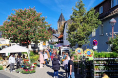 Erdbeerduft und Fr�hlingszauber: 44. Blumen- und Gartenmarkt in Horhausen
