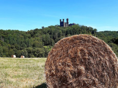 Gef�hrte Wanderung im Westerwald: "W6 Marmor, Stein und Eisen bricht"