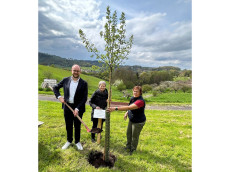Zwei B�ume zum 200. Geburtstag von Mutter Rosa in Waldbreitbach