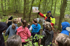 Wald-Jugendspiele in Koblenz: Kinder entdecken Natur spielerisch