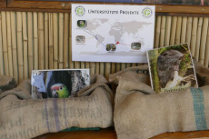 Artenschutz hautnah erleben: Zoo Neuwied l�dt zum Fest ein