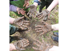 W�llerwaldwichtel brauchen B�rgschaft f�r Bauwagen-Projekt