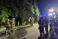 Waldbrand nahe Berod: Feuerwehr l�scht Flammen an der B8