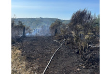 AKTUALISIERT | Gro�er Vegetationsbrand in Herdorf fordert rund 120 Einsatzkr�fte