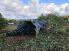 Sturm verw�stet Gnadenhof in �tzingen: Spendenziel deutlich �bertroffen