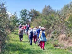 Herbstwanderung in Altenkirchen: Natur erleben am Tag der Deutschen Einheit