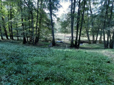 Naturtage in der Birkenbach-Aue: Ehrenamt f�r seltene Arten gesucht