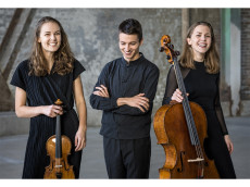 Schloss Montabaur: Villa Musica pr�sentiert Am�lio Trio im Rittersaal