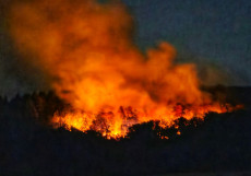 Waldbrand in Kampfmittelgebiet: W�ller Wehren helfen beim Gro�einsatz bei Traisen