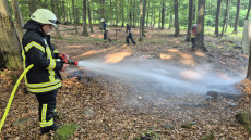 Schnelles Handeln verhindert Waldbrand in Stockum-P�schen