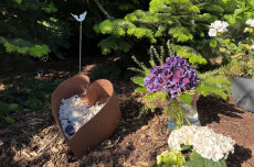 Neue Bestattungsform in Rheinland-Pfalz: Asche im eigenen Garten verstreuen