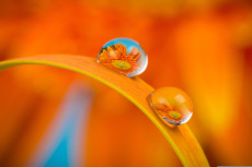 Neuwied erstrahlt in Orange: Start der Sommer-Fotosafari im food hotel