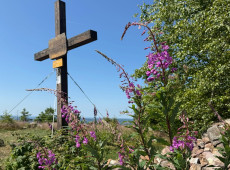Auf Entdeckungstour: Gef�hrte Wanderung auf dem Kindelsbergpfad