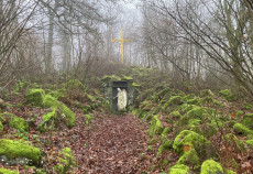 Rad-Wanderung zur Gruft von Graf Alexander bei Friedewald