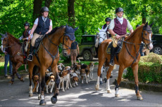 Tradition und Teamgeist: Die Rheinland Meute in Thalhausen an Pfingsten