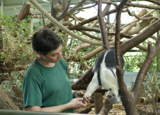 Neues Besucherprogramm im Zoo Neuwied: Der "Tierische Stundenplan"
