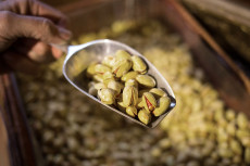 Pistaziencreme-R�ckruf wegen Salmonellengefahr