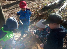 Abenteuer im Floratal: Kita-Kinder entdecken den Wald