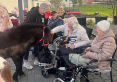 Ponys Lotte und Monty verzaubern das Caritas-Altenzentrum Helena in Hachenburg