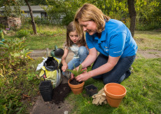 Naturschutz im Garten: Torffreie Alternativen f�r Hobbyg�rtner