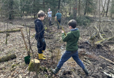 Mitmach-Aktionen st�rken Wasserr�ckhalt im Wald bei Hachenburg