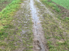 FDP Neuwied fordert Instandsetzung der Sharonstra�e