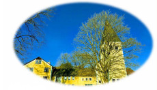 Musikalische Nachbarschaft in Rennerod