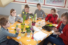 Fr�hlingsboten in Nahaufnahme: Ein Tag mit der NAJU-Kindergruppe Hundsangen