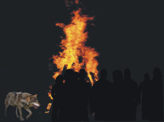 Protest im Flammenschein: Weidetierhalter im Westerwald fordern Schutz vor dem Wolf