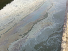 Gew�sserverunreinigung im Hafen Lahnstein: G�termotorschiff verliert �l-Wasser-Gemisch