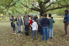Abenteuer auf der Streuobstwiese: NAJU-Kinder erleben Natur hautnah