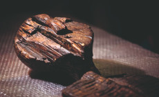 Shigir-Idol: Vortrag in Neuwied lftet Geheimnisse der ltesten Holzskulptur der Welt