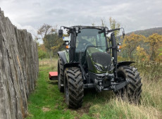 Untersttzung fr die Limes-Anlagen: Ehrenamtliche Arbeit in Rheinbrohl