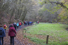 Vegetarische Option bei der Brotzeitwanderung im Puderbacher Land