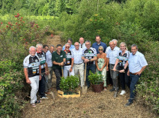 Hoffnung pflanzen: Kastanien auf der Gierender Hhe fr den guten Zweck