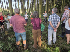 Waldumbau im Westerwald: Ein Rundgang mit Frster Johannes Rmpler
