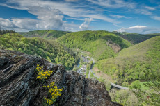 Wanderparadies Westerwald: Vier Aussichtspunkte für Naturliebhaber