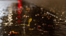 Nasses Herbstwetter in Rheinland-Pfalz: Regen und stürmische Böen erwartet
