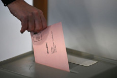 Rheinland-Pfalz vor der Wahl: Wichtige Informationen zum Urnengang am 22. M�rz