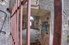 DNA-Test im Cold Case: Warum Straft�ter mitwirken