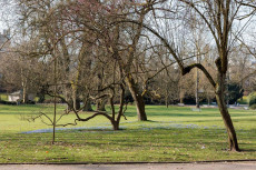 Milde Tage, frostige N�chte: Wetterumschwung in Rheinland-Pfalz erwartet