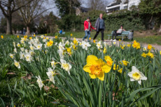 Sonniger Sonntag mit fr�hlingshaften Temperaturen in Rheinland-Pfalz erwartet